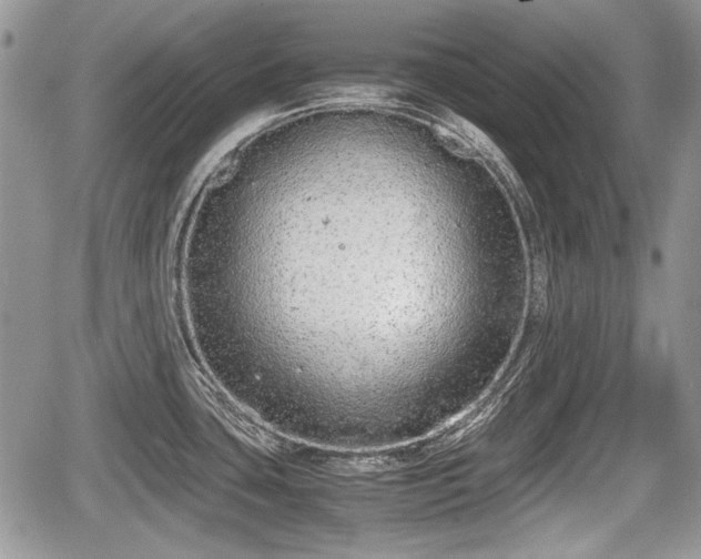 X0000067871435200604171213