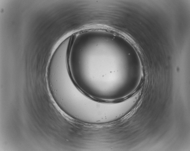 X0000067871438200604171213