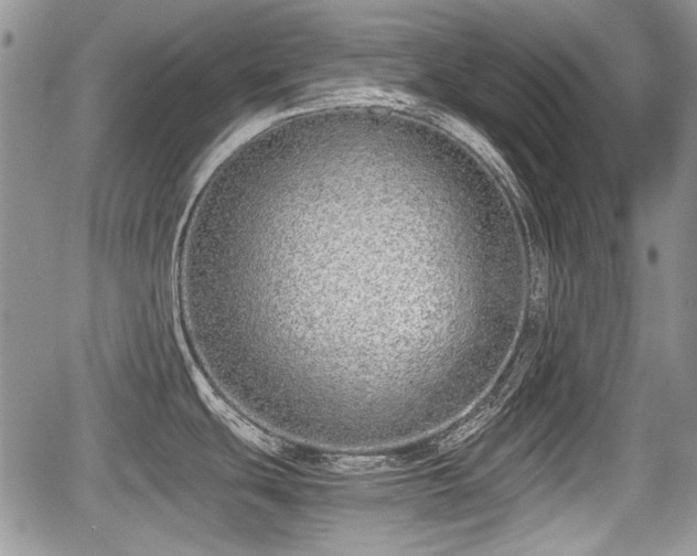 X0000067871439200604171213