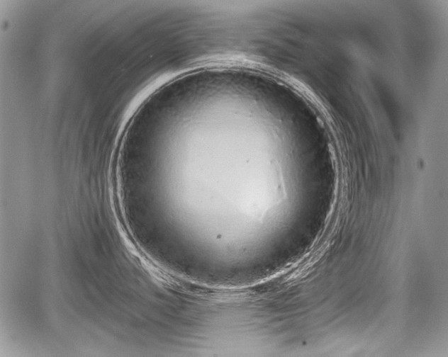 X0000067871440200604171213