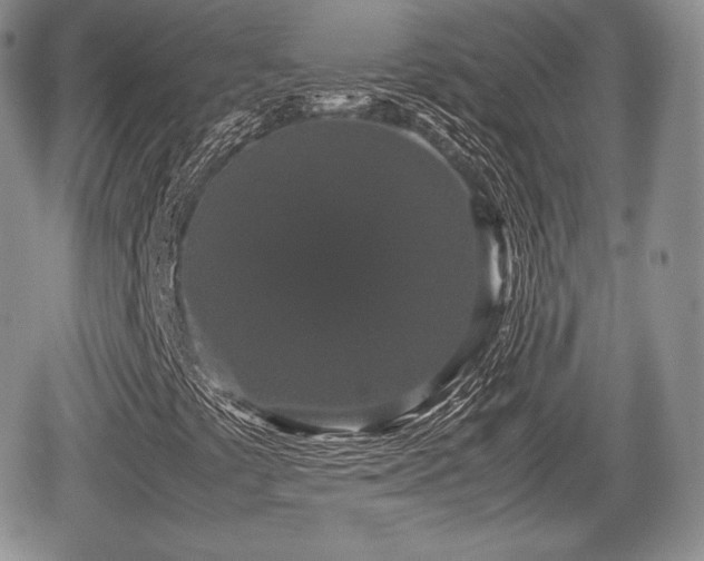 X0000067871441200604171212