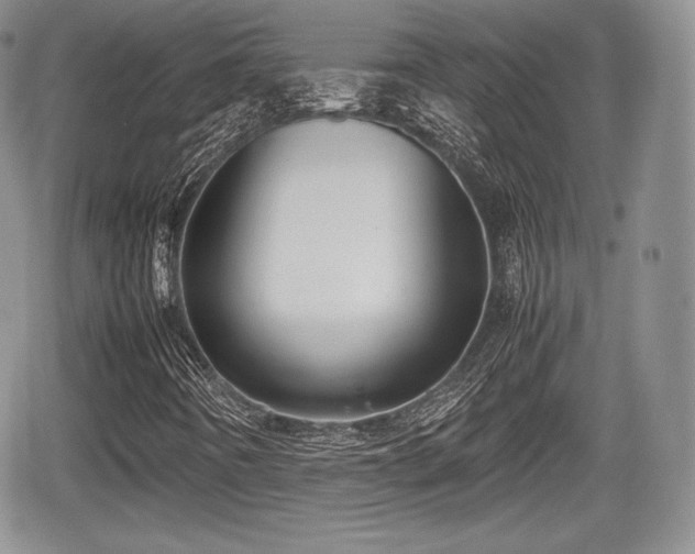 X0000067871442200604171212