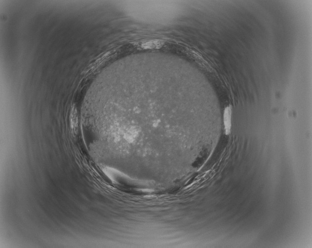 X0000067871443200604171212