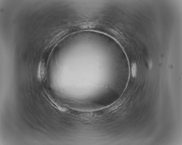 X0000067871444200604171212