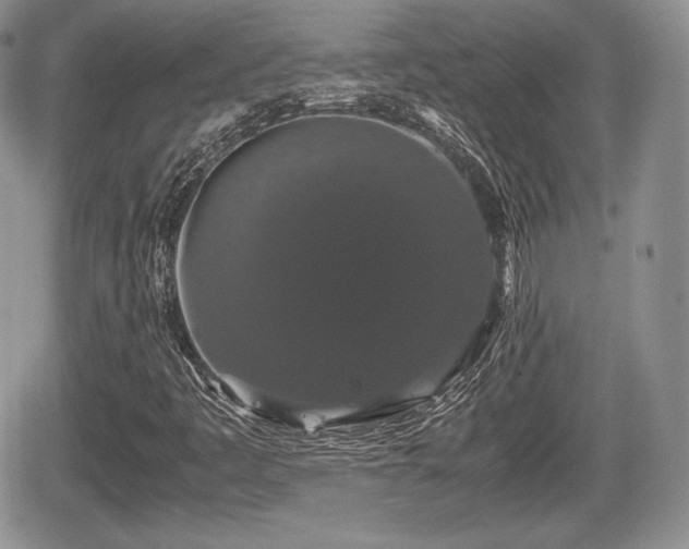 X0000067871445200604171212