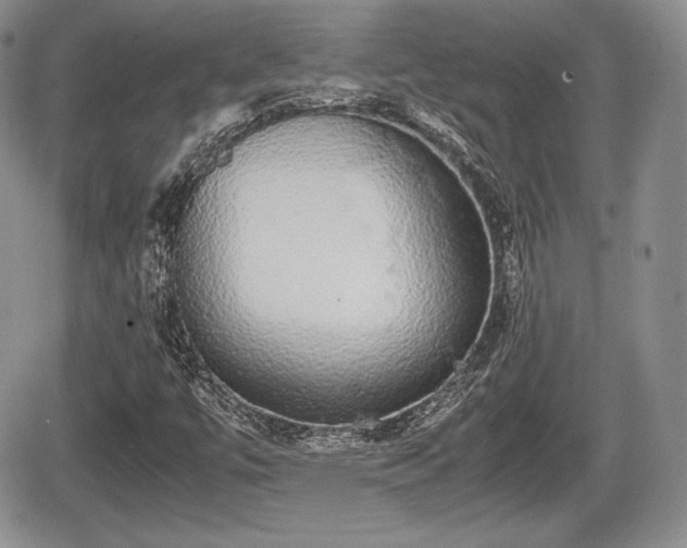 X0000067871447200604171212