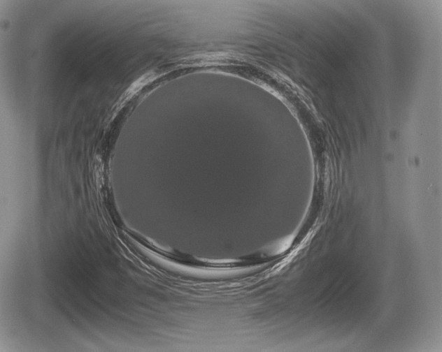 X0000067871449200604171212