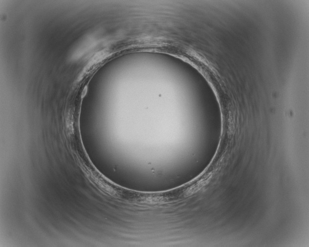 X0000067871451200604171212