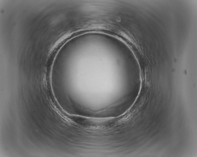 X0000067871452200604171212