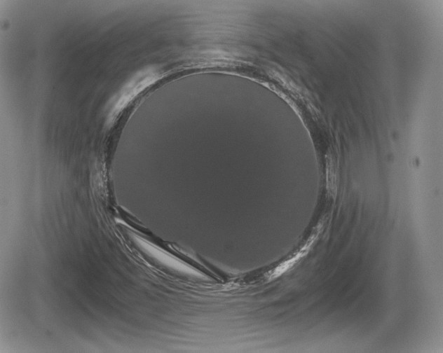 X0000067871453200604171212