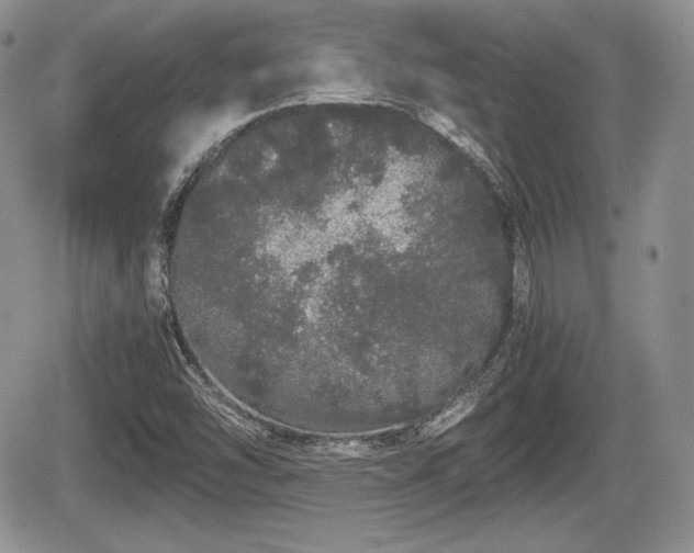 X0000067871454200604171212