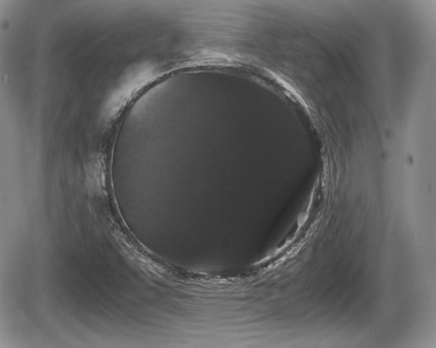 X0000067871455200604171212