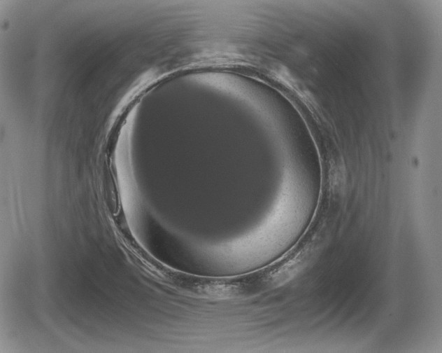 X0000067871459200604171212