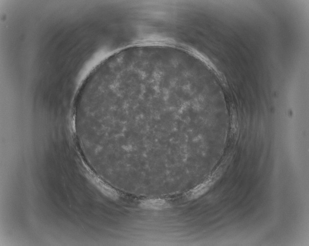 X0000067871462200604171212