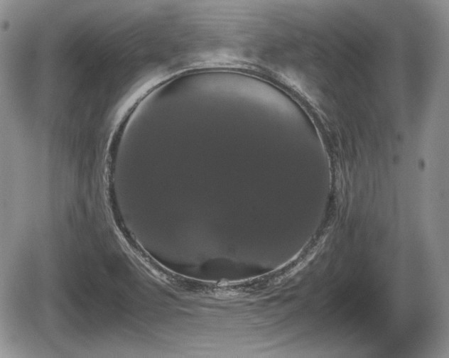 X0000067871463200604171212