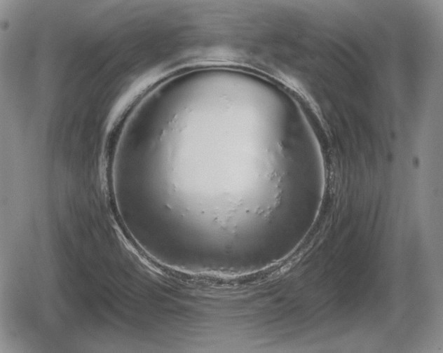 X0000067871464200604171212