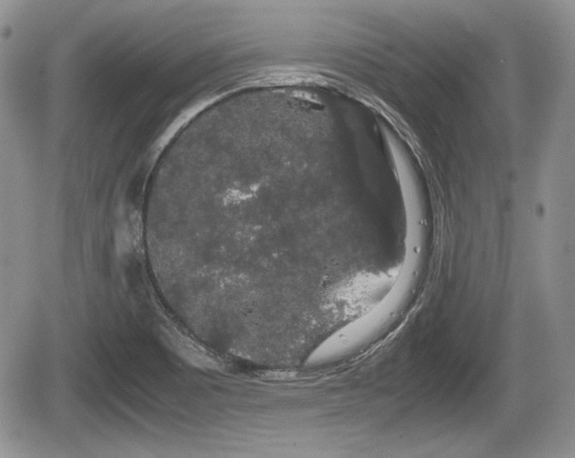 X0000067871465200604171212