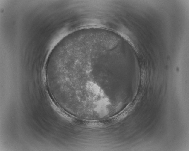 X0000067871466200604171212