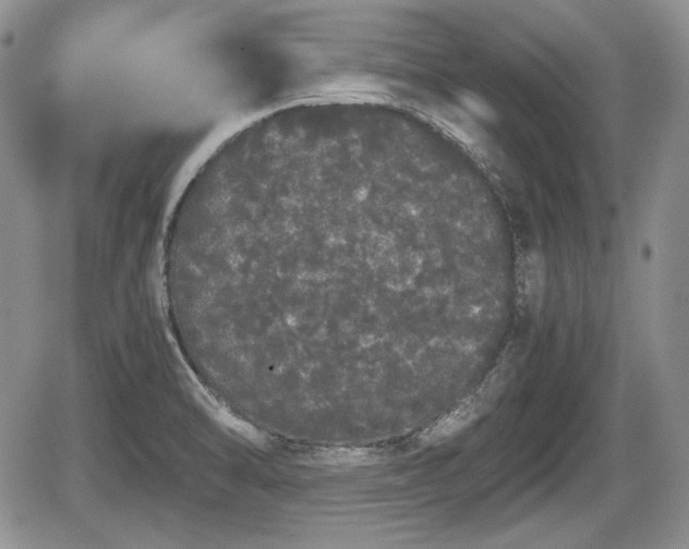 X0000067871470200604171212