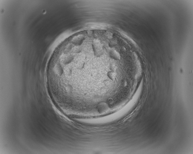 X0000067871471200604171212