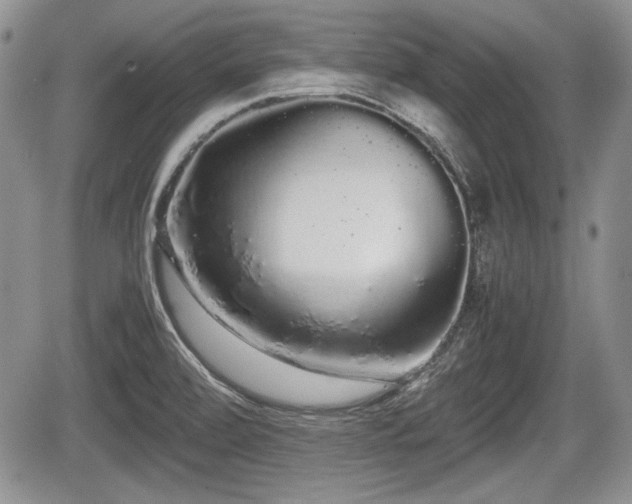 X0000067871472200604171212