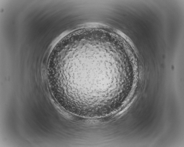 X0000067871473200604171212