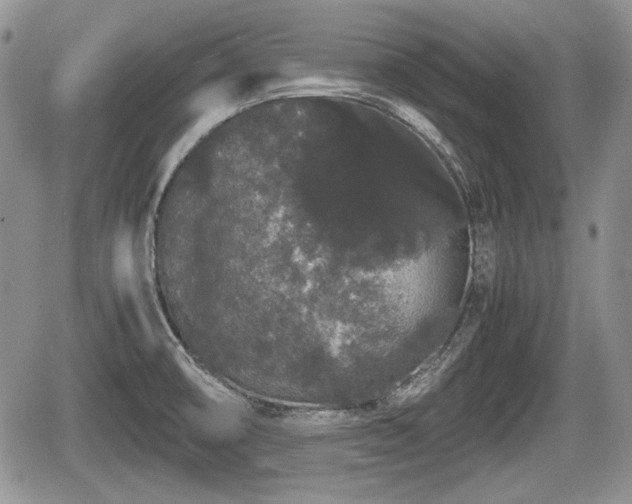 X0000067871474200604171212