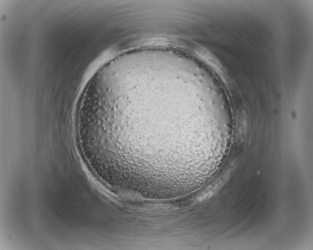 X0000067871475200604171212