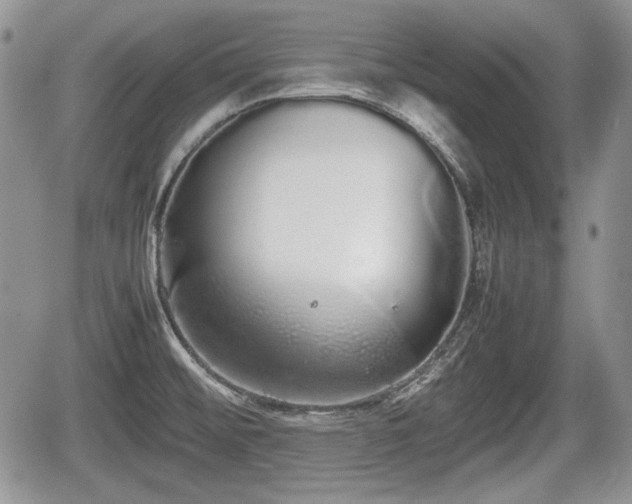 X0000067871476200604171212