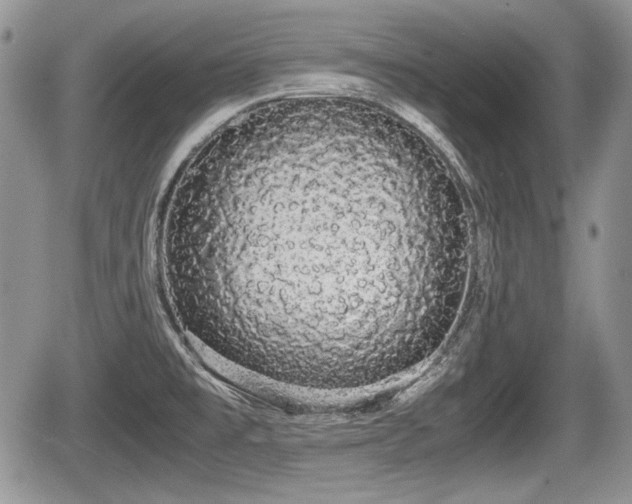 X0000067871477200604171212