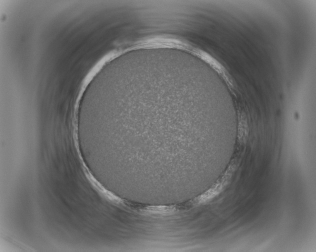 X0000067871478200604171211