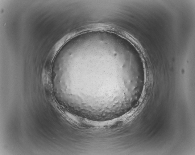 X0000067871481200604171211