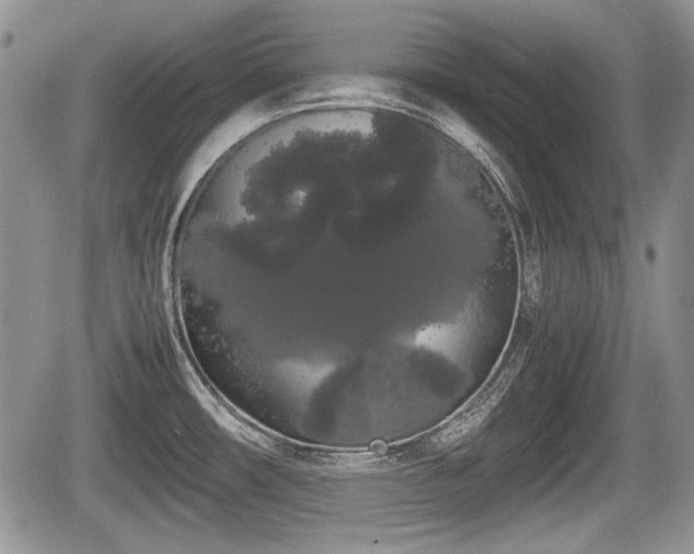 X0000067871482200604171211