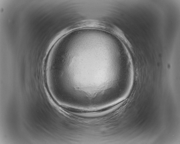 X0000067871483200604171211