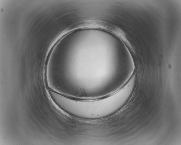 X0000067871484200604171211