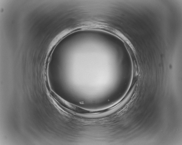 X0000067871485200604171211