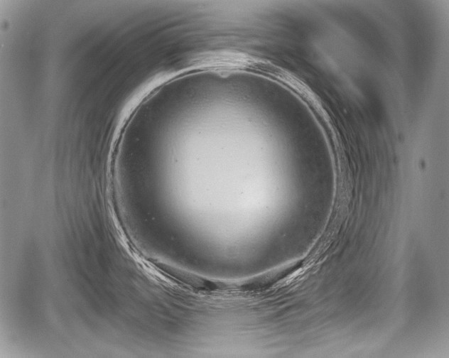 X0000067871488200604171211