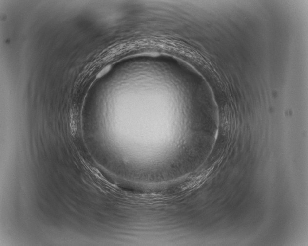 X0000067871490200604171211