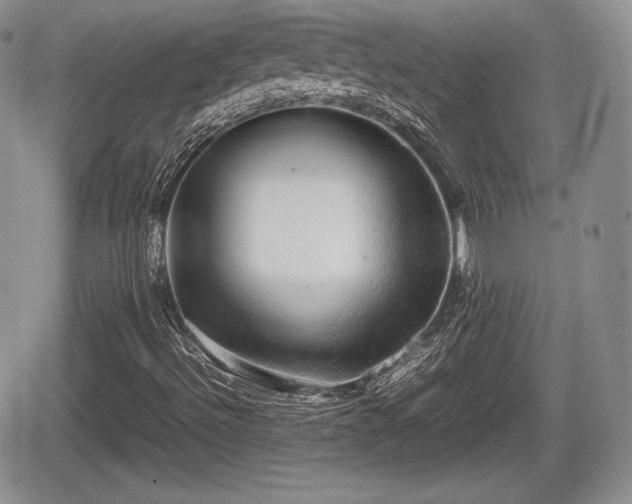 X0000067871492200604171211