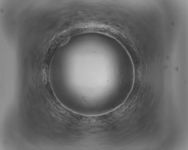 X0000067871493200604171211