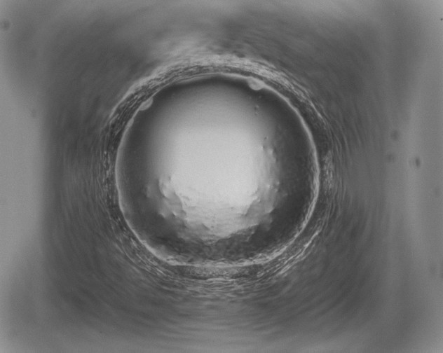 X0000067871494200604171211