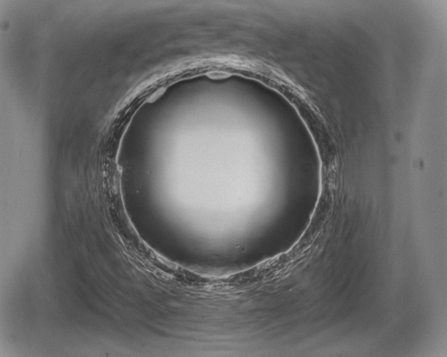 X0000067871496200604171211