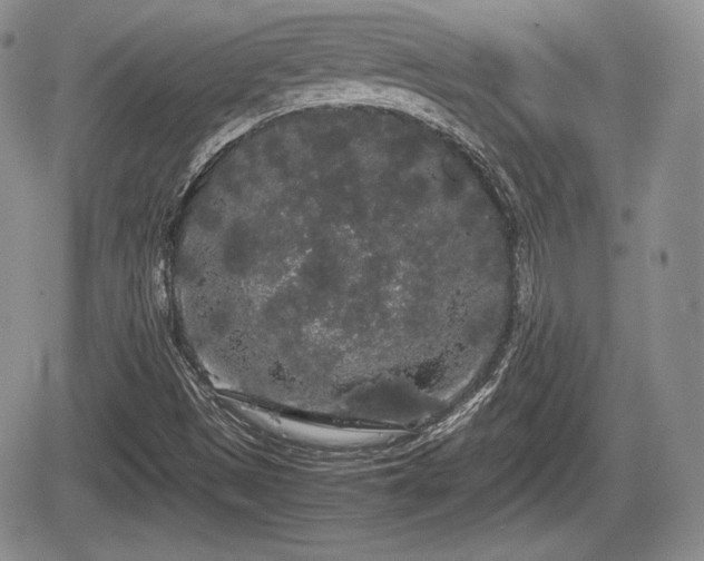 X0000067871497200604171211