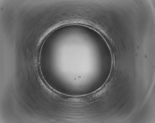 X0000067871500200604171211