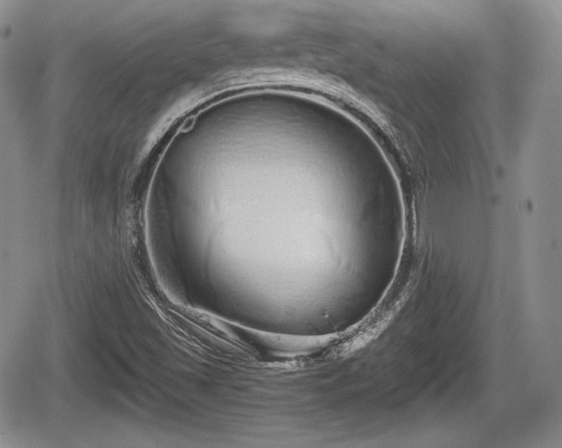 X0000067871501200604171211