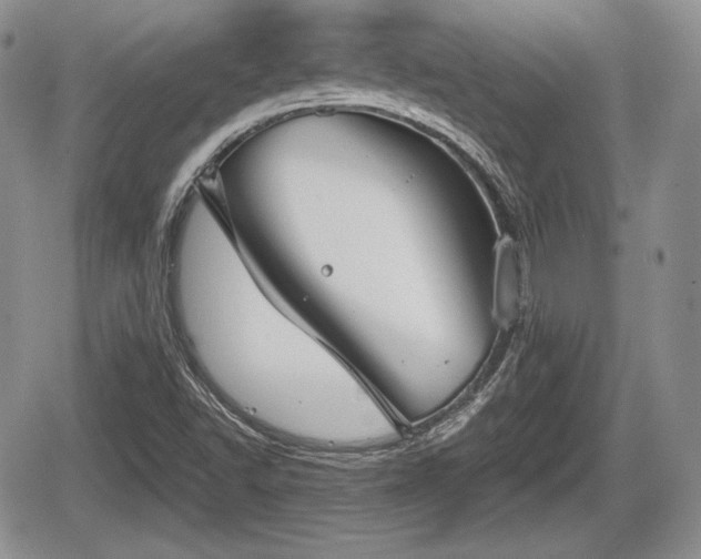 X0000067871502200604171211