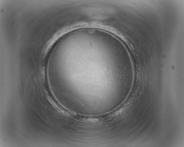 X0000067871503200604171211