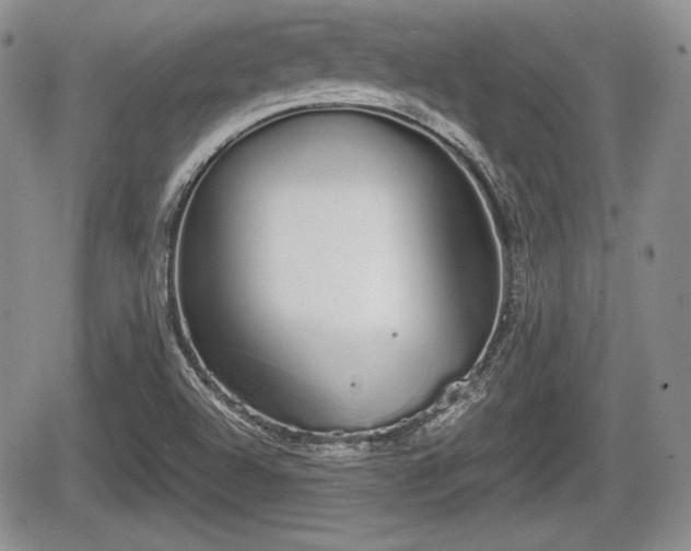 X0000067871504200604171211