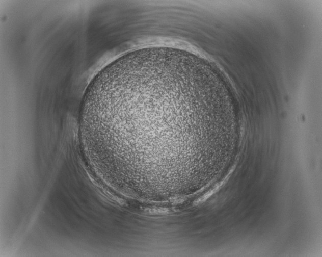 X0000067871505200604171211