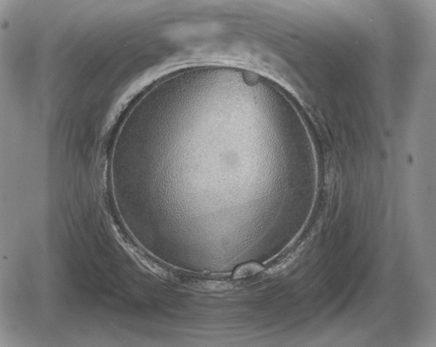 X0000067871507200604171211